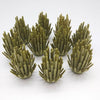 LEGO | LEGO 10pcs/Lot Bush Trees Green Grass Building Bricks Plants Blocks City Parts Accessories - BRICKPICK BUILDING TOYS